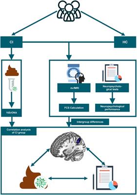 Altered functional connectivity strength in chronic insomnia associated with gut microbiota composition and sleep efficiency